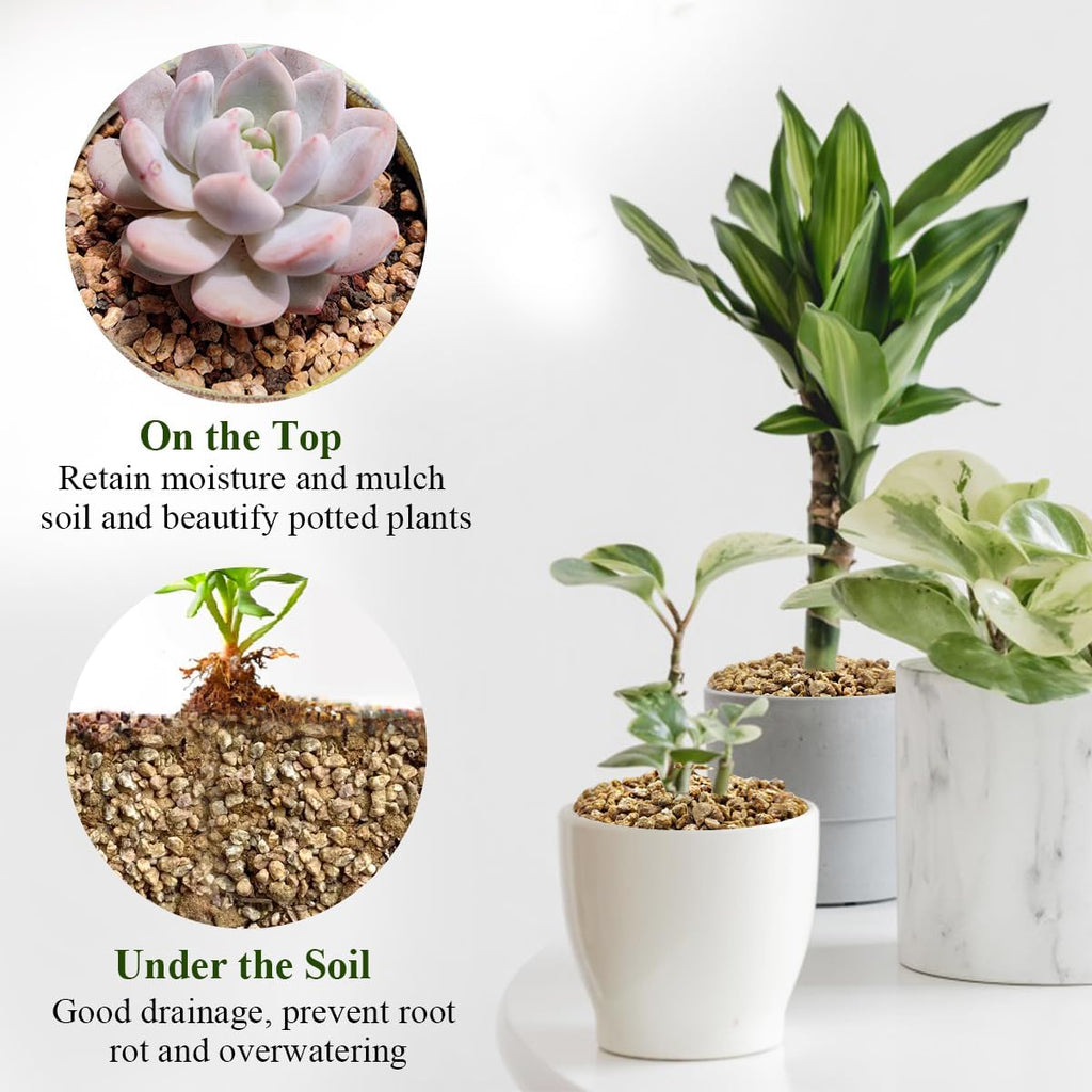 2 lbs Maifanitum Stones for Succulent,1/4 Inch Decorative Rocks for Indoor Plants, Bonsai, Soil Cover. Small Stone of Lightweight for Promote Soil Root Growth, Water Drainage and Plant Growth