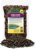 Gardenera Monstera Dubia Soil Mix - Promotes Healthy Root Growth and Moisture Retention - 2 Quart