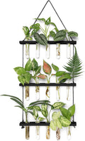 Mkono 3 Tiered Wall Hanging Plant Terrarium with Wooden Stand Mini Test Tube Flower Vase Glass Planter for Hydroponic Plant Cutting Home Garden Office Decor Gift