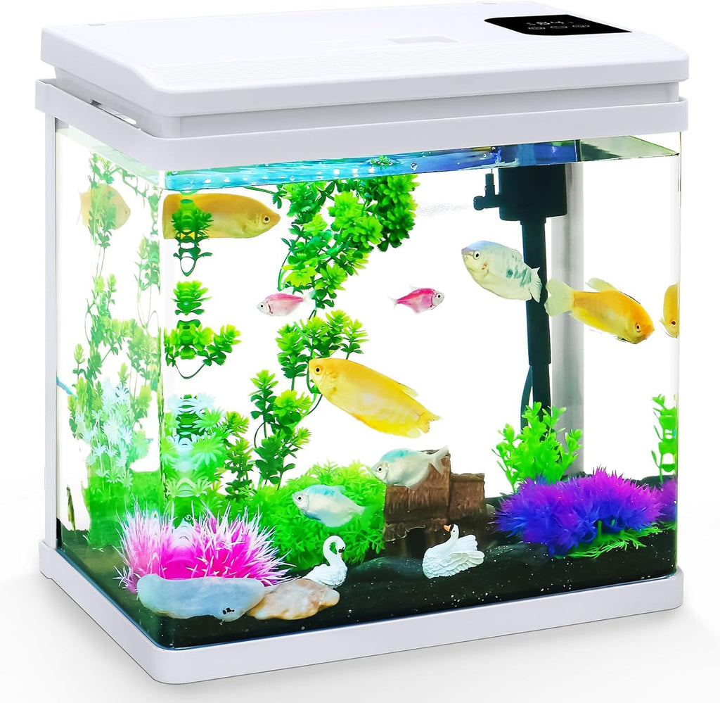 6 Gallon Fish Tank Kit with Auto On/Off Timer, 7-Color LED Light, Dimmable Brightness, Ultra Clear Glass & Effective Filtration – Great for Bettas
