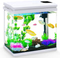 6 Gallon Fish Tank Kit with Auto On/Off Timer, 7-Color LED Light, Dimmable Brightness, Ultra Clear Glass & Effective Filtration – Great for Bettas