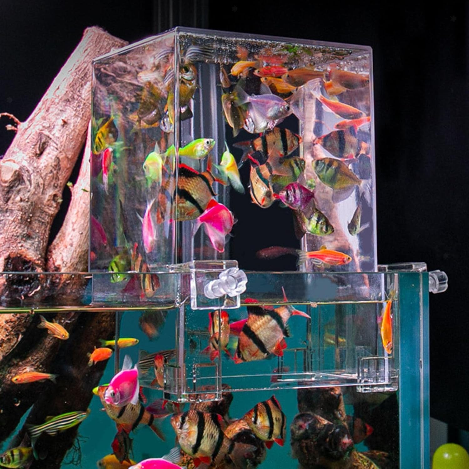 Negative Pressure Fish Tank - Clear Fish Elevator Water Auto-Refill Vacuum Suspended Fish Tank Water Level Maintenance, Increase Fish Activity Area, Aquarium Decoration