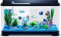 LED Aquarium Fish Tank Kit,（Light + Filter + Green Plants + Blue Sand + Pineapple Houses + Shells） Black, 14 Gallon