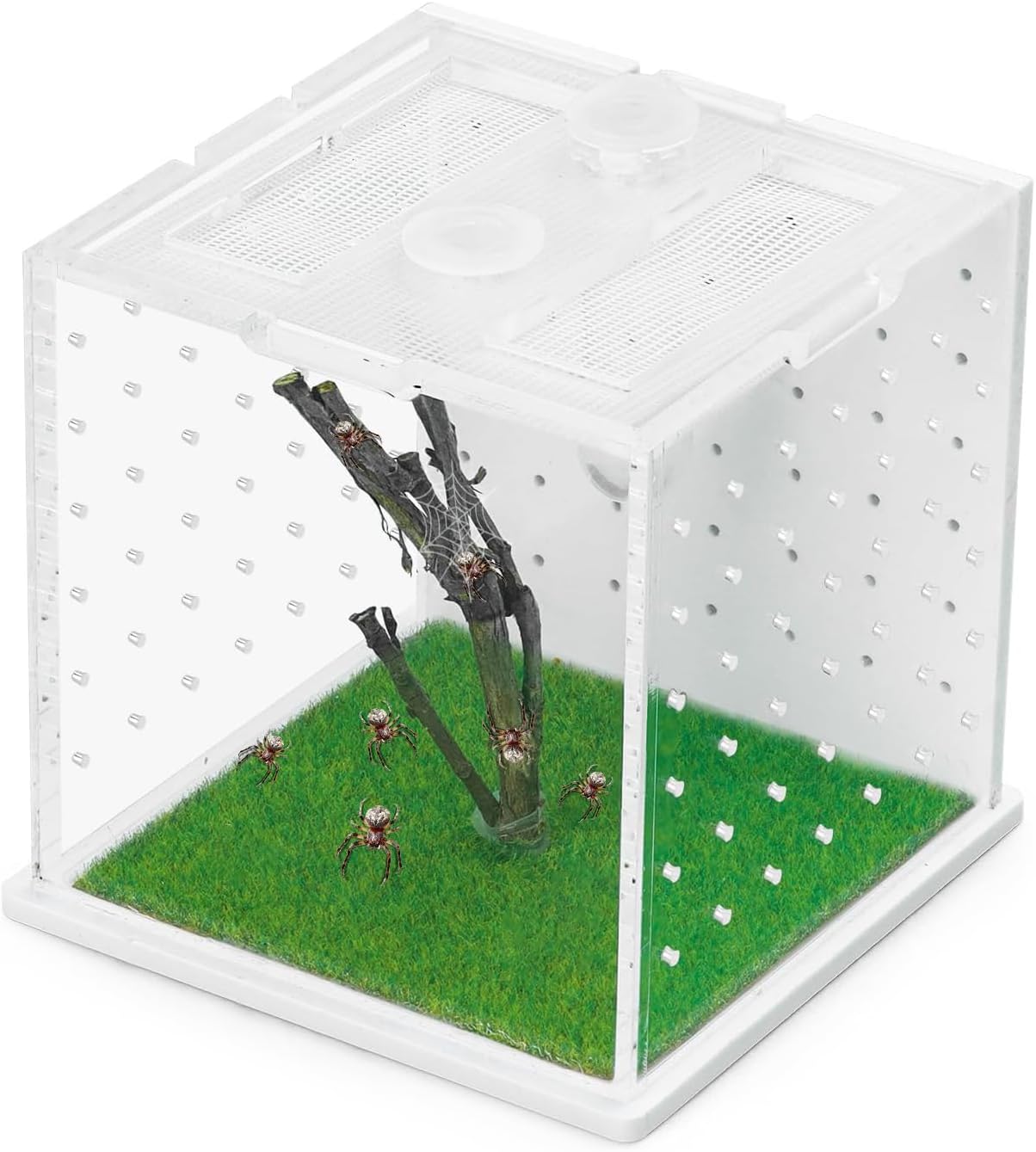 Jumping Spider Enclosure Acrylic Reptile Breeding Tank 2.95x2.95x2.87 Inches, Transparent Tarantula Habitat with Dropper, Feeding Box for Small Insects, Lizards, or Pet Terrarium (Clear)