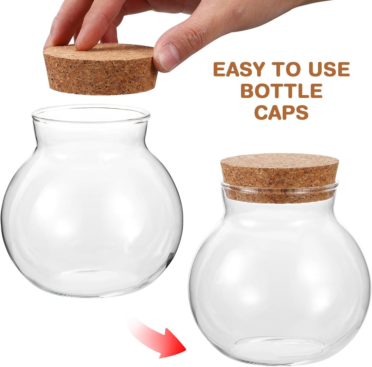 BESPORTBLE Glass Terrarium with Lid: Small Terrarium Jar with Lif, Small Terrarium Containers, Round Glass Jars with Cork