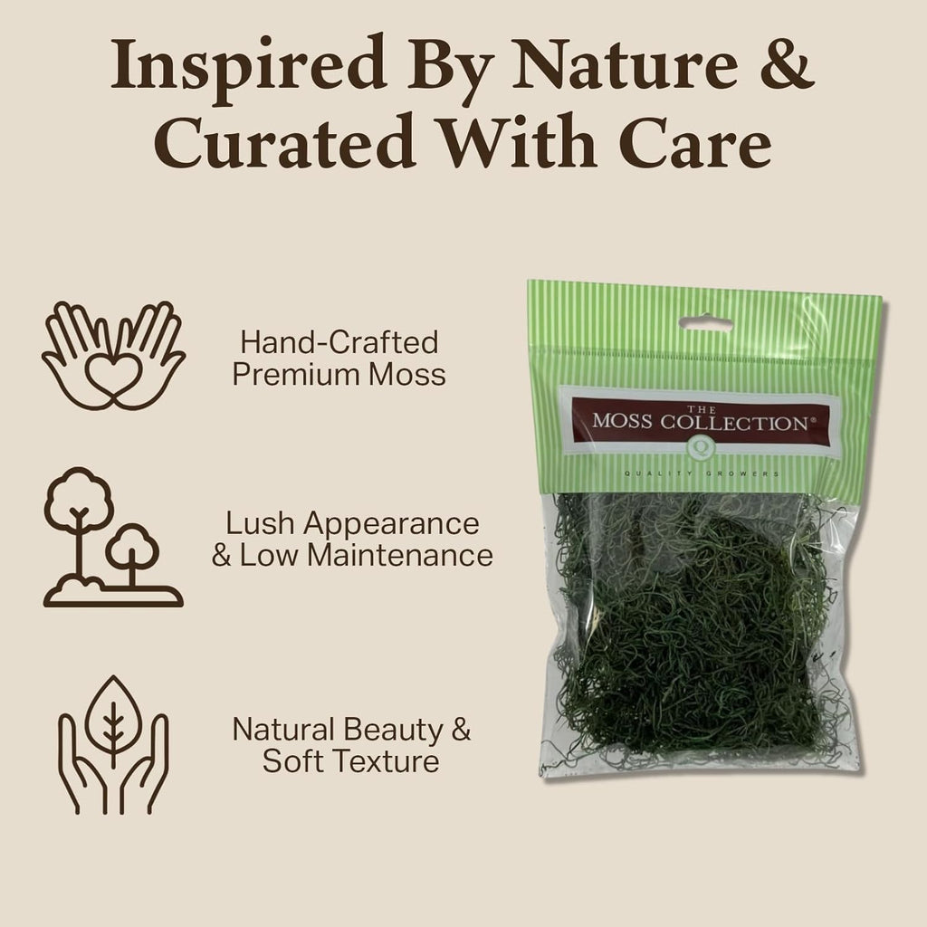 Preserved Spanish Moss - Premium Decorative Moss for Crafts, Home Décor, Art, Design & DIY Projects - Real Moss - Non-Toxic, USA-Made (Forest Green, Medium, 2-Pack)
