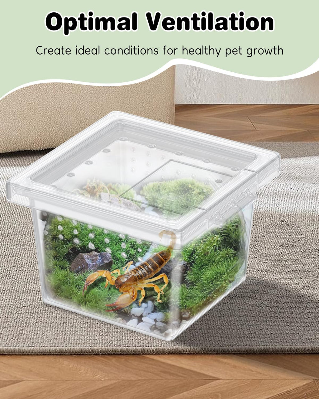 Pawfly 20 Pcs Mini Spider Terrarium Breeding Box, Transparent Plastic Jumping Spider Enclosure Cricket Keeper Tarantula Enclosure, Small Reptile Hatching Container for Scorpion Centipede Gecko Mantis