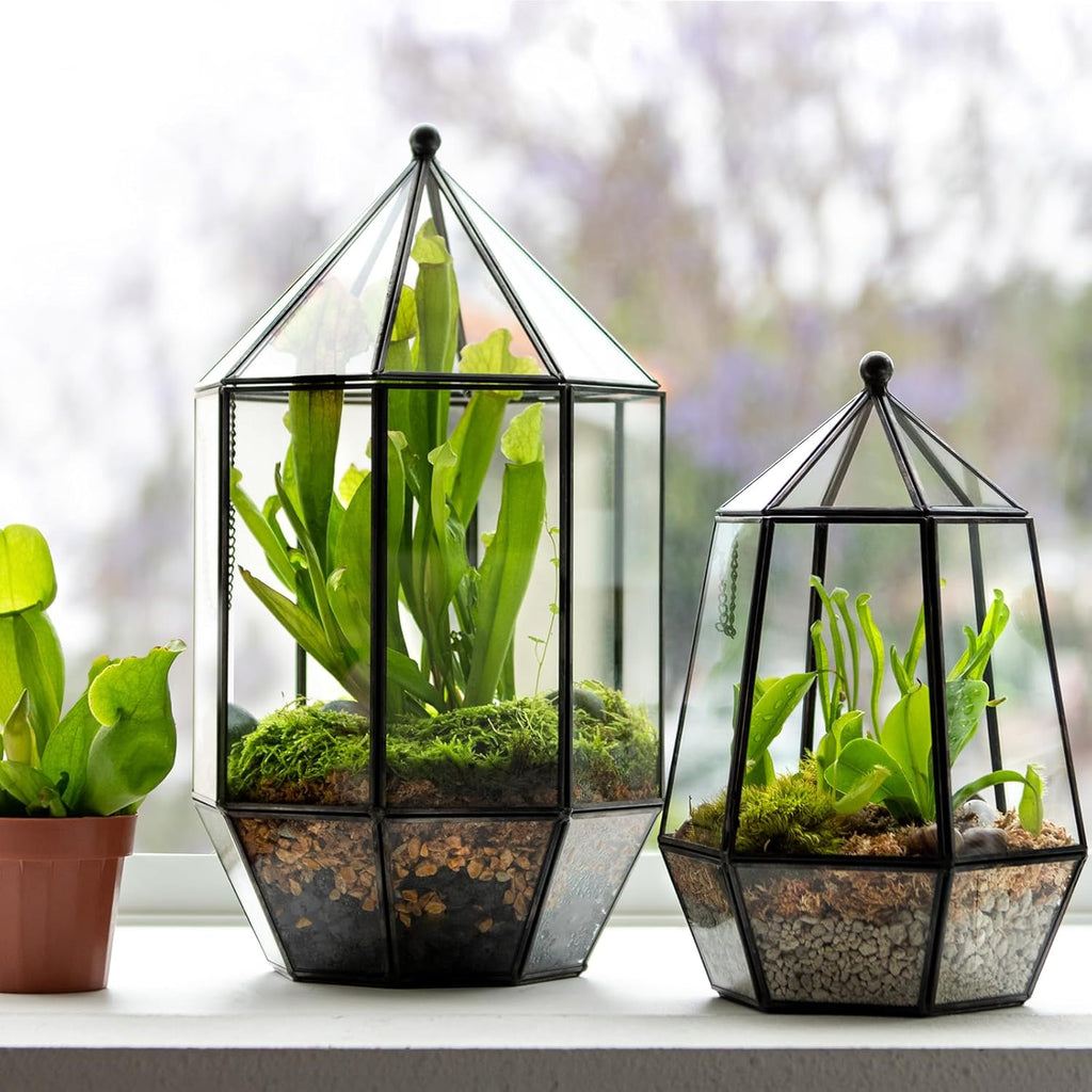SuperMoss (90405) Glass Terrarium – Elegant Indoor Gardening Décor, Ideal Gifts for Plant Lovers, Modern Home & Office Decoration, 7.5” x 7.5” x 14”, Greenhouse