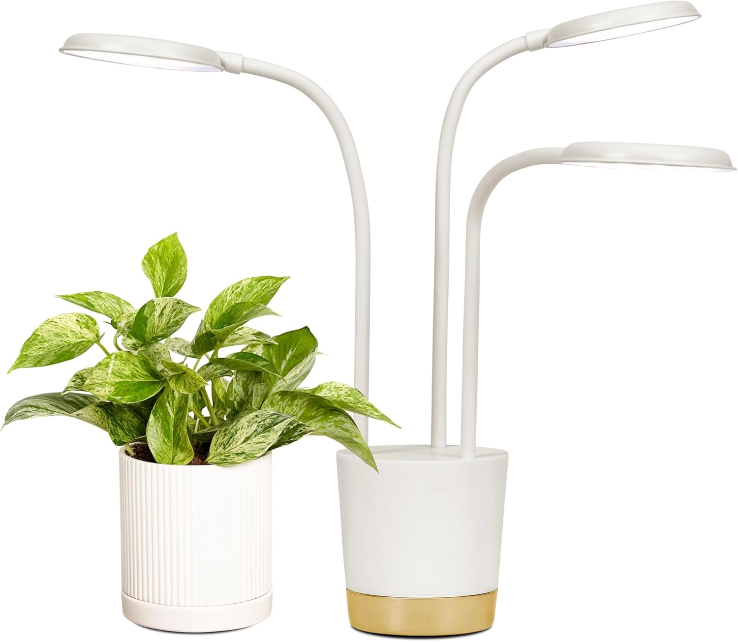 AeroGarden Trio Grow Light for Indoor Plants, Grow Live Plants Anywhere in The Home, Adjustable Light Modes, Cream