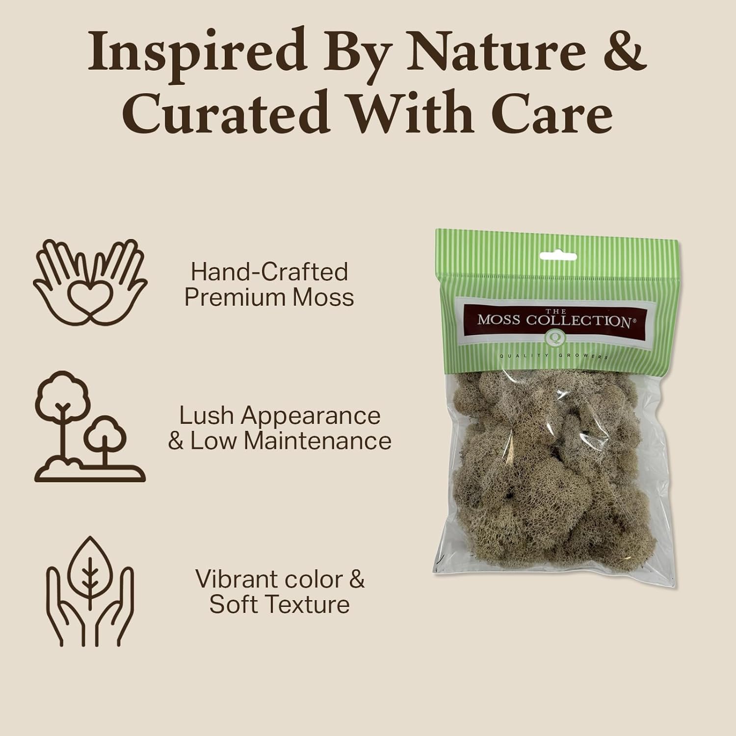 Preserved Reindeer Moss - Moss for Crafts, Home Decor, Art, Design & DIY Projects - Non-Toxic - USA Made (Natural, Small)