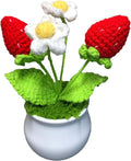 Crochet Flowers Cute Little Potted Flower, Gift for Birthday, Teacher’s Day, Graduation, Anniversary, Christmas, Decor for Car Dashboard,Home Office Decoration (Strawberry)