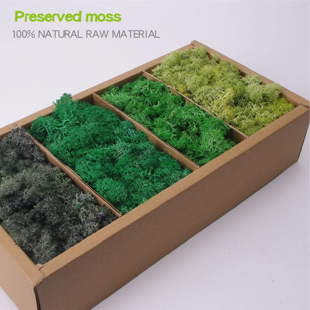 Preserved Moss-1.1lb 4 Color Mix Pack Reindeer Craft Moss, Green Moss Artificial Moss Suitable for Flowerbeds, Crafts, Home Office Artistic Decoration(Green Tones-3)