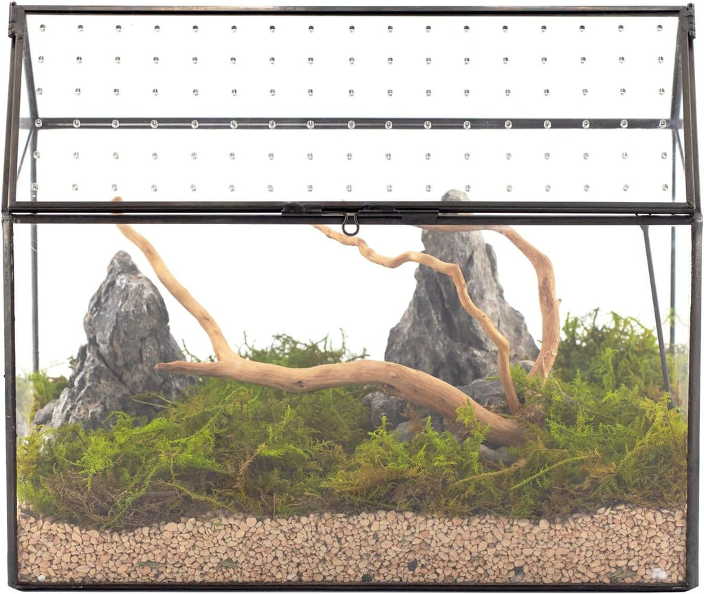 NCYP House Shape Glass Terrarium with Acrylic Lid - 10.2x5.9x8.2 Inches Large Geometric Box for Snails, Ferns, Succulents, Air Plants, Indoor Tabletop Decor, Handmade (Terrarium Only)