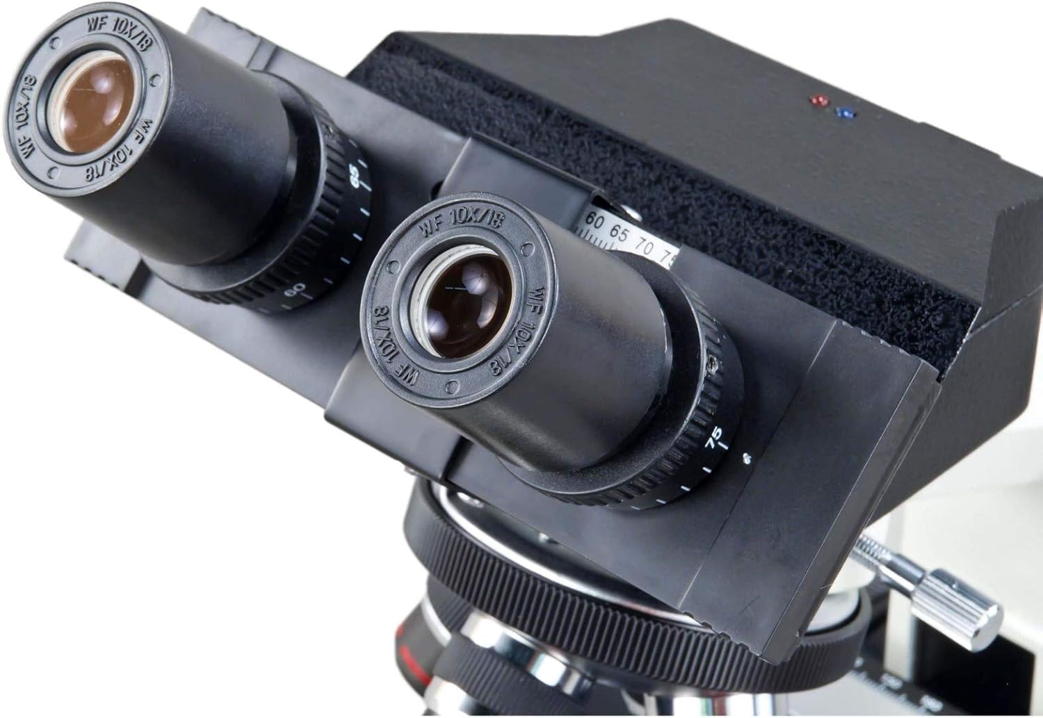 OMAX MD827S30 3MP Digital Integrated Microscope with Halogen Illumination - 40X-2000X Magnification - Compound Binocular Microscope - Ideal for Clinics, Vets & Classrooms