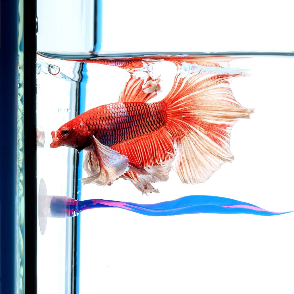 WILLBOND 2 Pieces Silicone Betta Fish Bed Leaf Hammock Betta Fish Tank Accessories, Practical Resting Spot, No Bpa, Comfortable and Safe(Blue)