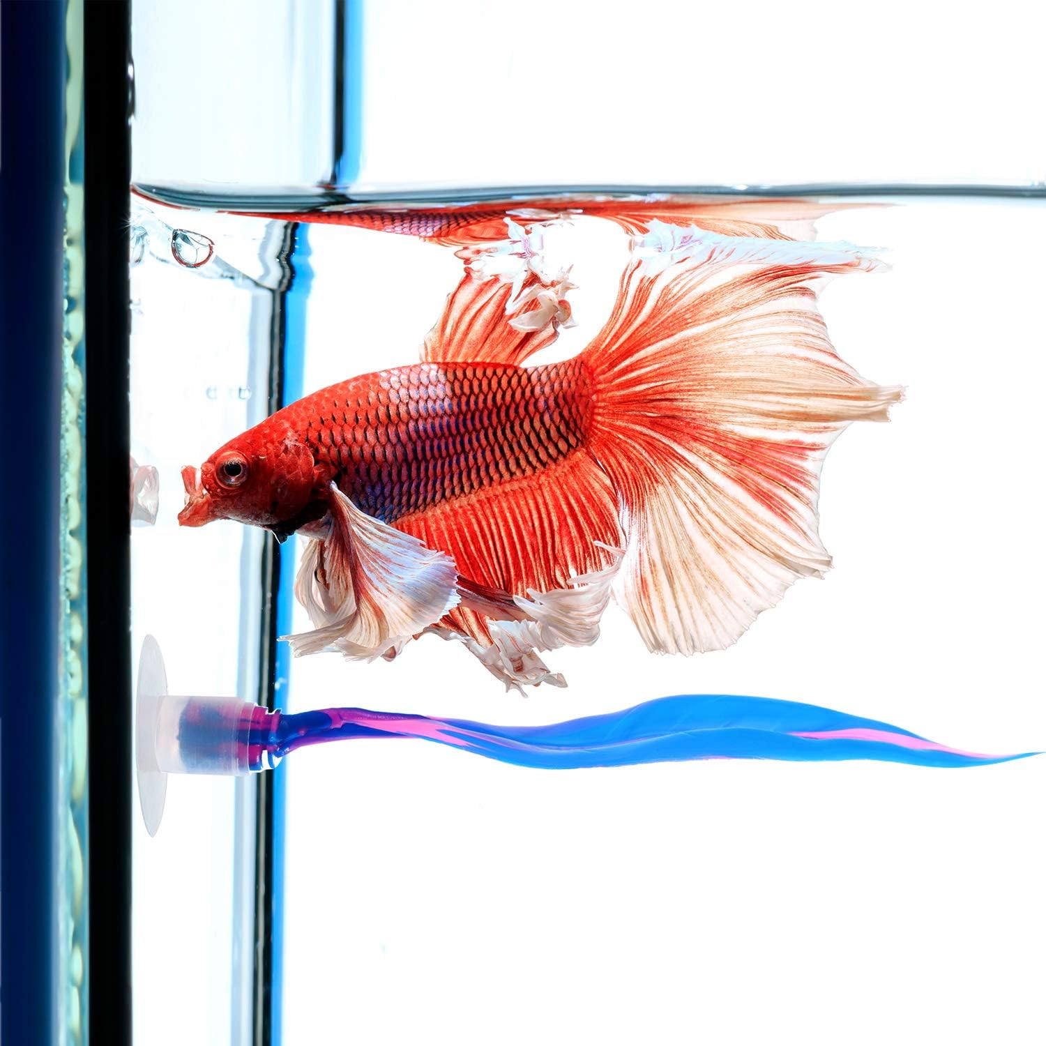 WILLBOND 2 Pieces Silicone Betta Fish Bed Leaf Hammock Betta Fish Tank Accessories, Practical Resting Spot, No Bpa, Comfortable and Safe(Blue)