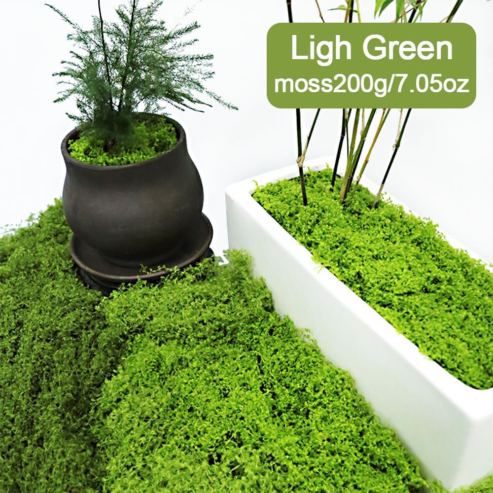 Fake Green Moss for Crafts 7.05 oz Decorative Artificial Moss for Crafts Decorative Faux Moss Table Centerpieces Wedding Party Decor Fairy Garden Floral DIY