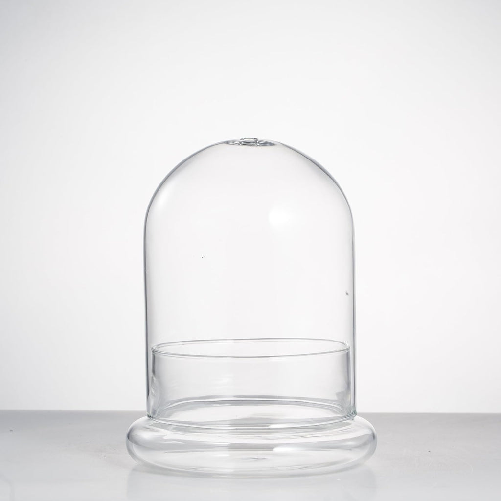 NCYP Small Clear Decorative Glass Terrarium Cloche with Air Hole - 4.7 x 4.7 x 6.3 Inches Glass Dome with Base for Miniature Succulents - Display Storage (No Plants Included)