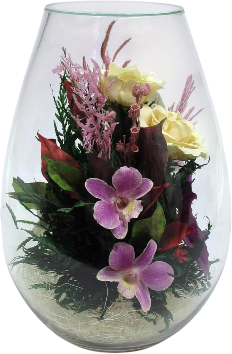 Fiora Flower | Preserved Roses & Floral Arrangement in Sealed Glass Vase | Lasts up to 5 Years | Elegant Gift for Weddings, Birthdays, and Anniversaries (Lush)