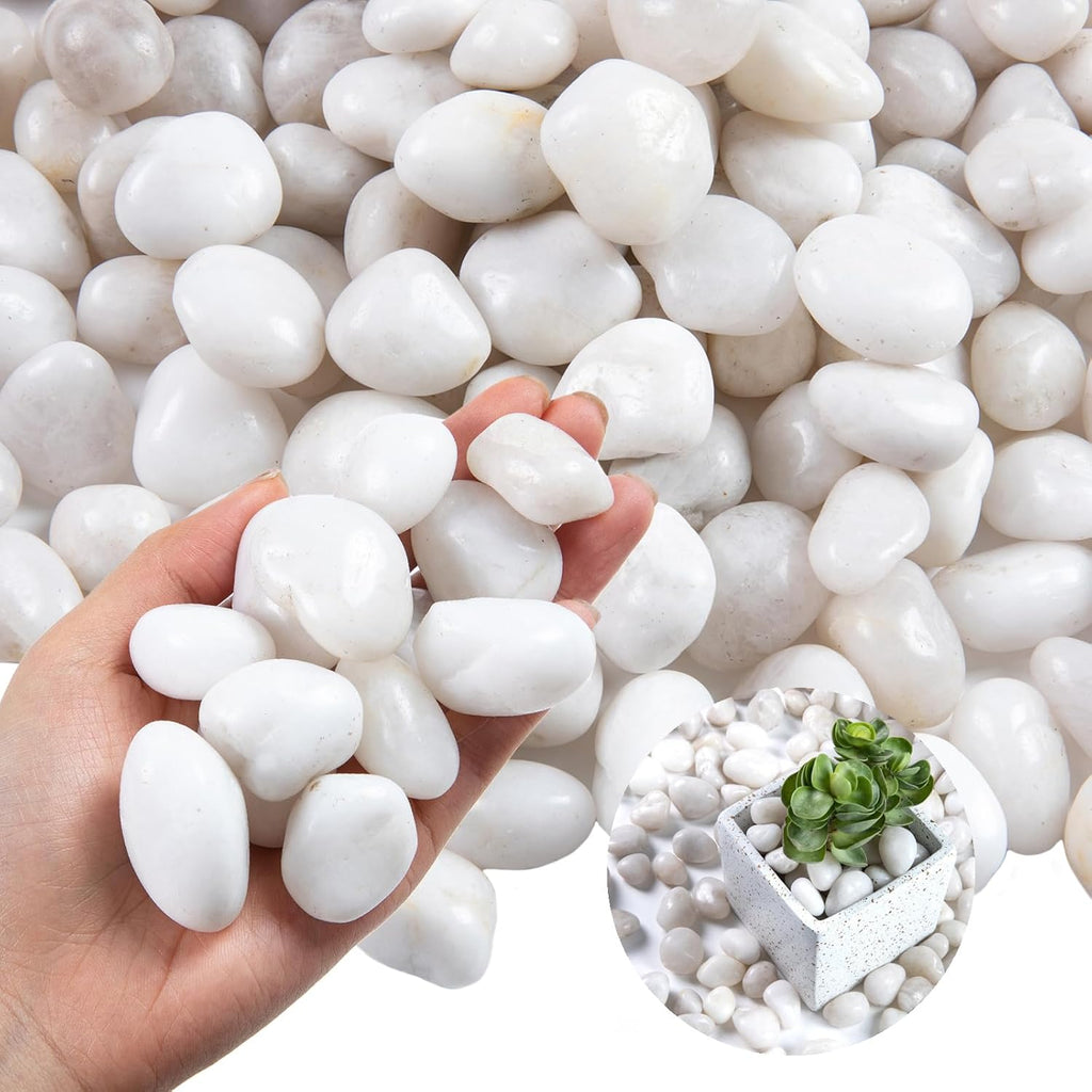 20lb White River Rock- High Polished Pebbles for Indoor Plants- Decorative Stones for Aquarium Fish Tank - White Rocks for Outdoor Garden Landscaping - 0.3"-0.8"