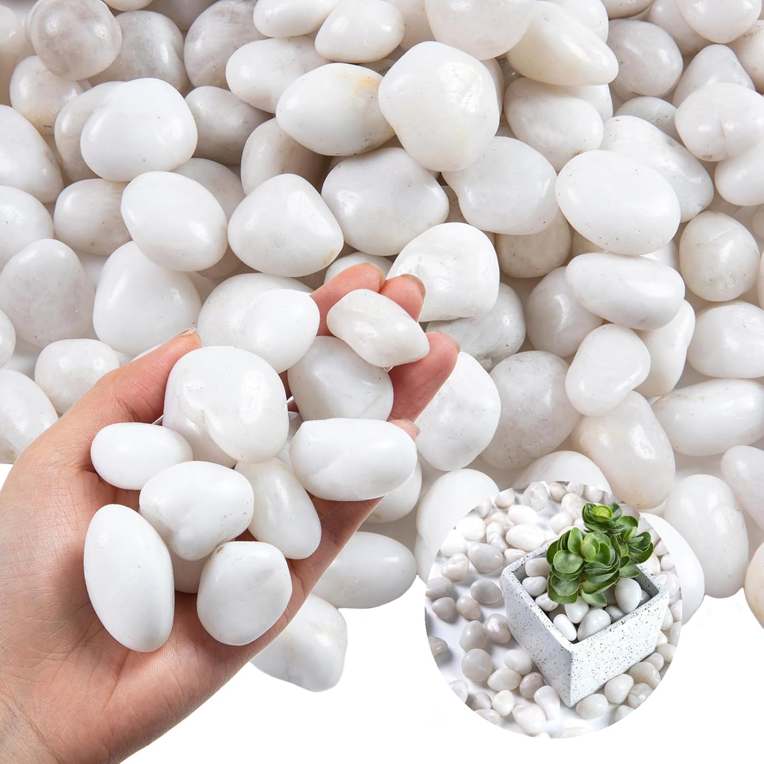 10LB White River Rock- High Polished Pebbles for Indoor Plants- Decorative Stones for Aquarium Fish Tank - White Rocks for Outdoor Garden Landscaping - 0.3"-0.8"