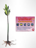 Generic AquaGardens | Red Mangrove - Live Plant (Small + Heat Pack for Cold Weather Shipping), Green