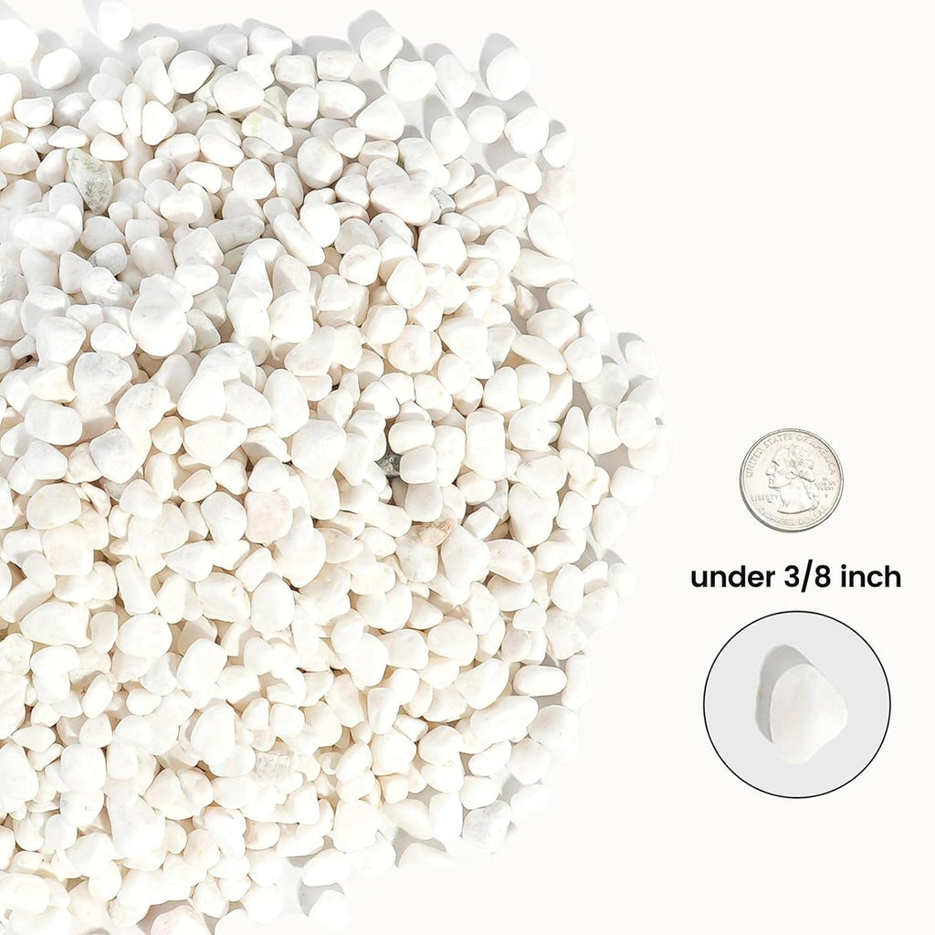 CONSDAN 24 LBS Natural Gravel for Fish Tank, StoneCreek Betta Fish Aquarium Gravel, Vase Filler, River Rocks, Fish Tank Decorations, Perfect for Aquarium Decor, Fish Tank, & Indoor Plant, White