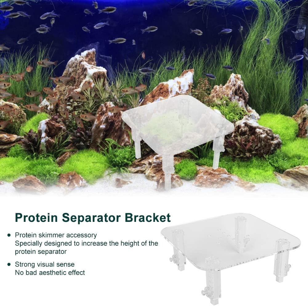 Hapivida Protein Skimmer Stand, Transparent Protein Separator Bracket Adjustable Height Acrylic Protein Skimmer Bracket Protein Separator Heightening Accessories for Aquarium Fish Tank