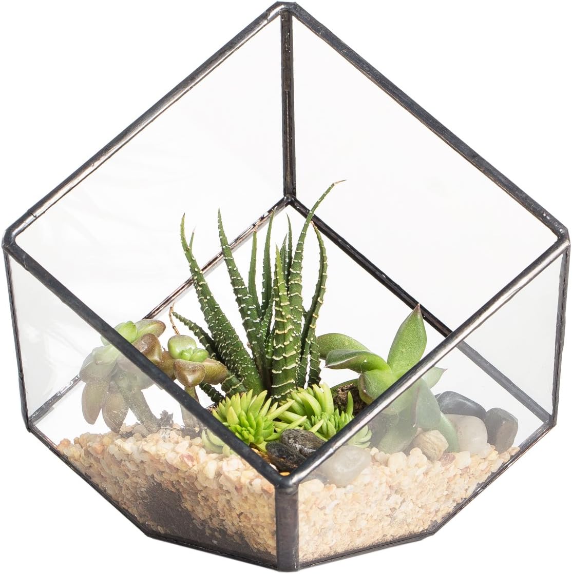 NCYP Small 3.93 Inches Geometric Glass Terrarium Box, Inclined Cube Clear Decorative Planter, Tabletop Air Plant Holder, Succulent Display Flower Pot, Black Centerpiece (No Plants, No Lid)