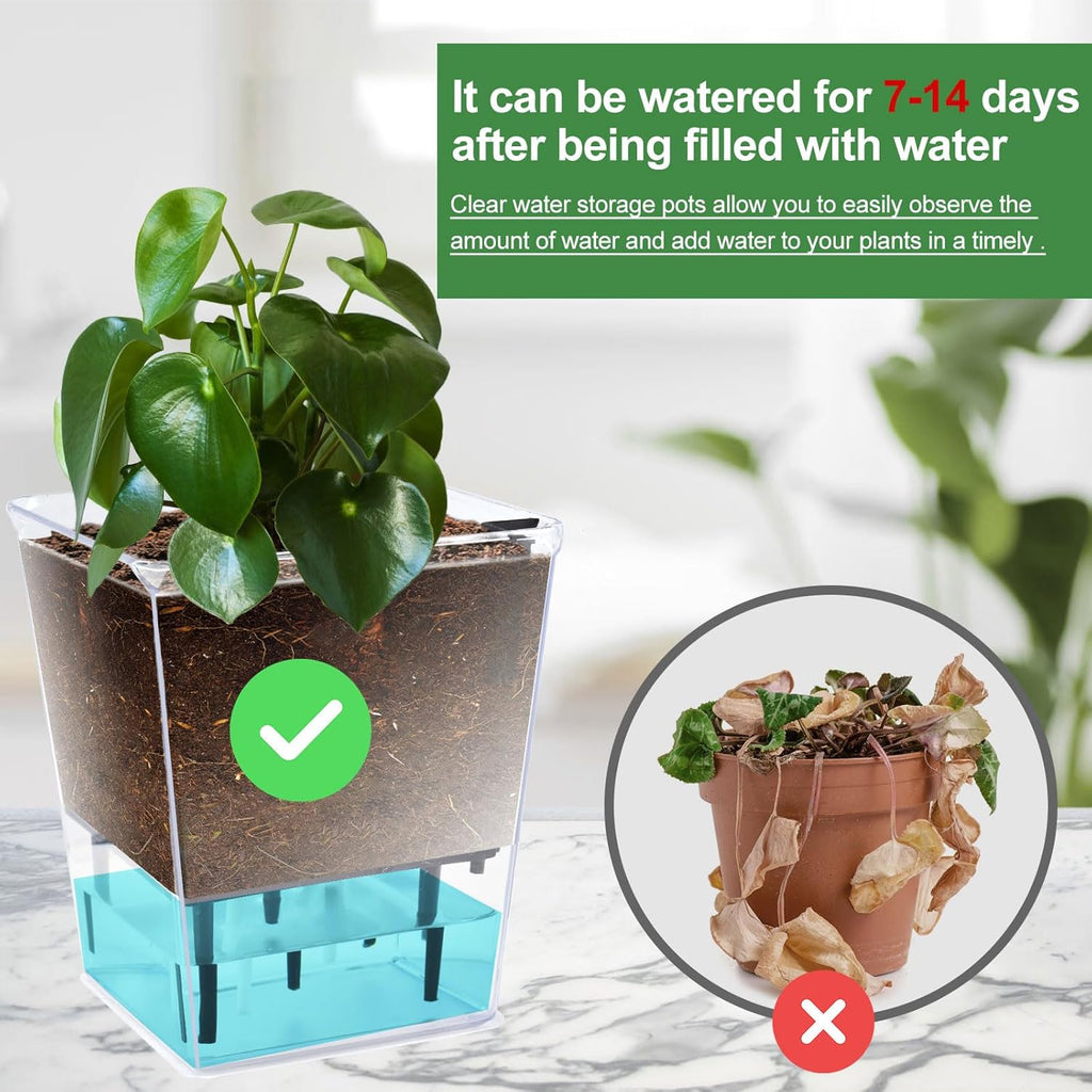 Self Watering Pots Set, 3 Pack 5/4.1/2.7 Inch Self Watering Pot for Indoor Plants, Clear Flowers Pot Planter with Deep Reservoir for Spider Plant, Orchid, African Violet