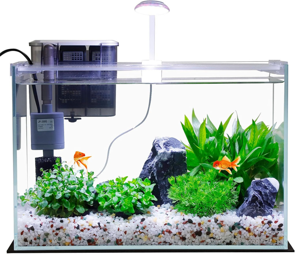 5 Gallon Glass Small Fish Tank with Filter Light and Lid, Betta Aquarium Starter Kits