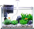 5 Gallon Glass Small Fish Tank with Filter Light and Lid, Betta Aquarium Starter Kits