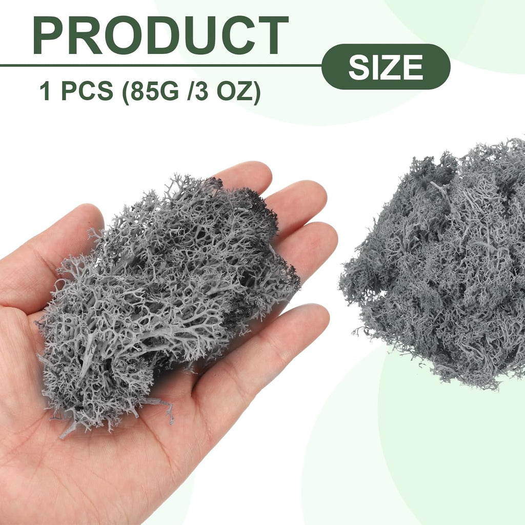 MECCANIXITY 3oz Preserved Reindeer Moss, Grey Decorative Artificial Fake Moss for Potted Plants Indoor Crafts Lichen Centerpieces Decor