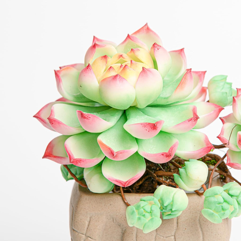 Galagaga Handcrafted Artificial Succulent Plant in Textured Ceramic Pot, Pink and Mint Green Clay Flowers, Maintenance-Free Home Decor (1, shape7)