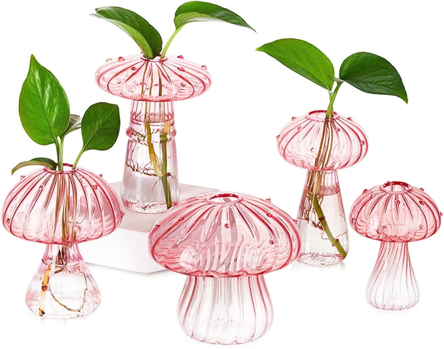 Hewory Mushroom Jars for Plants, 5pcs Pink Glass Mushroom Bud Vase for Flowers, Unique Plant Propagation Stations Propagating Vases Decor, Mini Cute Hydroponic Terrarium Planter for Indoor Planters
