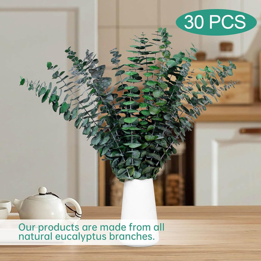 30 Pcs Dried Eucalyptus Stems for Shower, 17'' Natural Real Preserved Eucalyptus Leaves Branches Hanging, Dried Plant Bundle for Home SPA Bathroom Wedding Wall Vase Decor, Bath Essentials