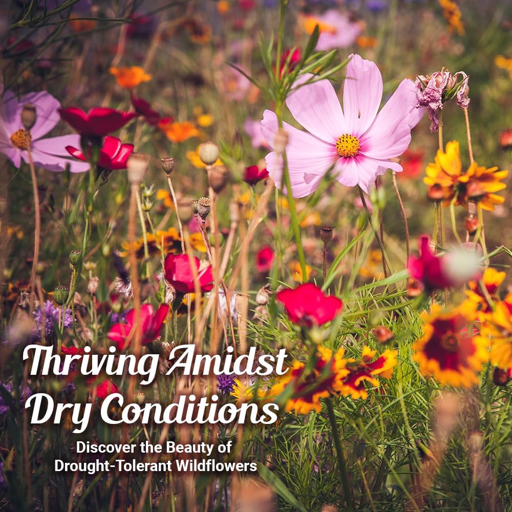 Drought Resistant Wildflower Seeds - 1oz, Open-Pollinated Bulk Flower Seed Mix for Beautiful Perennial, Annual Garden Flowers - No Fillers - 1 oz Packet
