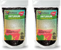 Gardenera Anthurium Potting Mix - Crafted for Superior Performance and Colorful Blooms - 10 QUARTS