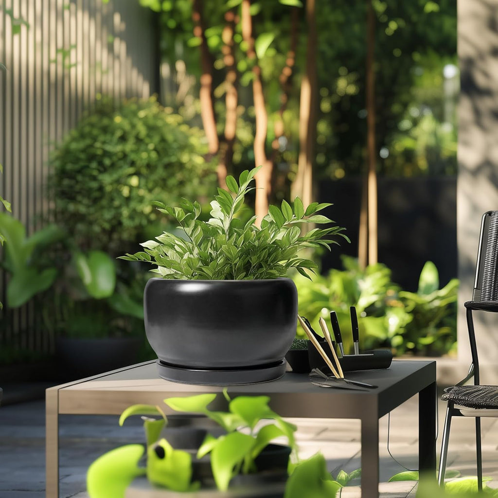 SQOWL Ceramic Flower Pot - 10 Inch Planter with Drainage Hole and Saucer, Modern Large Plant Pot Indoor Outdoor, Decorative Round Planter, Bedroom Decor, Gifts for Plant Lovers, Black