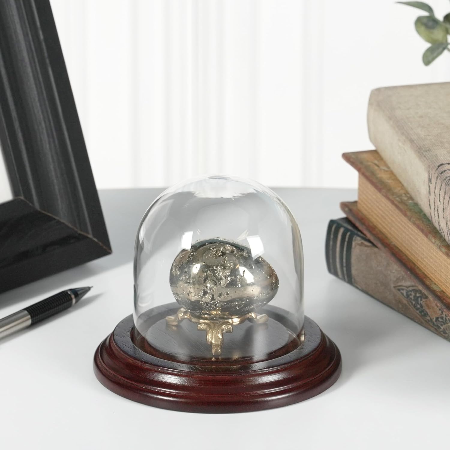 Plymor 3" x 3" Glass Display Dome Cloche (Dark Mahogany Veneer Base)