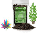 Gardenera Organic Autoflower Plants Potting Soil Mix - Perfect Balance of Nutrients, Drainage, and Aeration for Thriving Autoflower Plants- 4 Quart