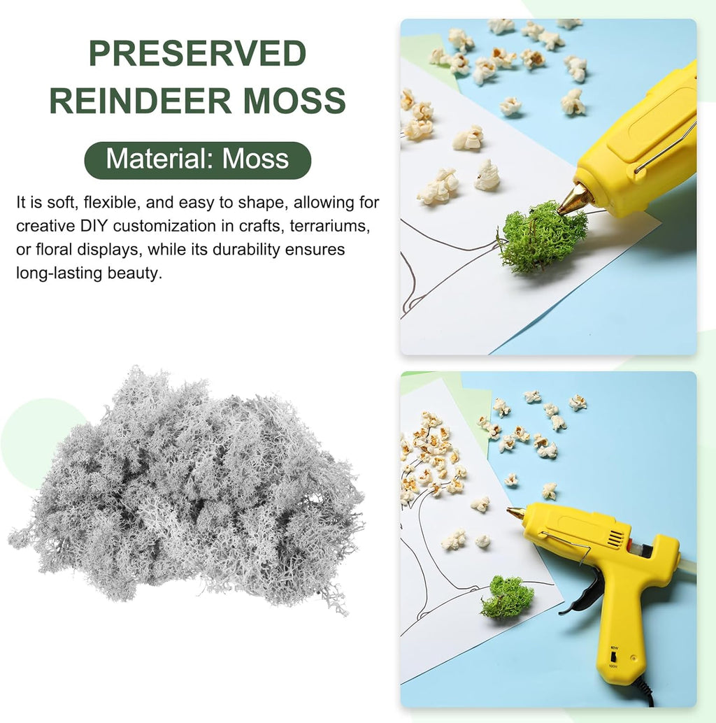 MECCANIXITY 3oz Preserved Reindeer Moss, Light Grey Decorative Artificial Fake Moss for Potted Plants Indoor Crafts Lichen Centerpieces Decor