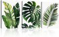 3pcs Framed Canvas Prints Botanical Leaf Modern Plant Palm Leaves Banana Leaf Tropical Wall Art Decor Canvas Poster Gallery Bathroom Bedroom Living Room Office 16x24 Inch Ready to Hang