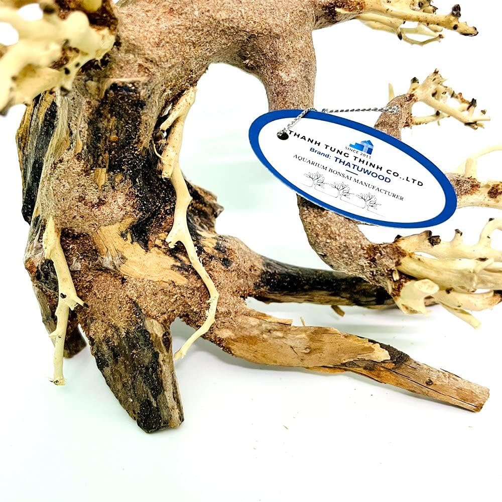 Bonsai Driftwood Aquarium Tree (8in H x 6in L), Handcrafted Fish Tank Decoration | Easy to Install Driftwood Bonsai for Fish Tank | Decor Aquascape Wood (Bonsai Tree)