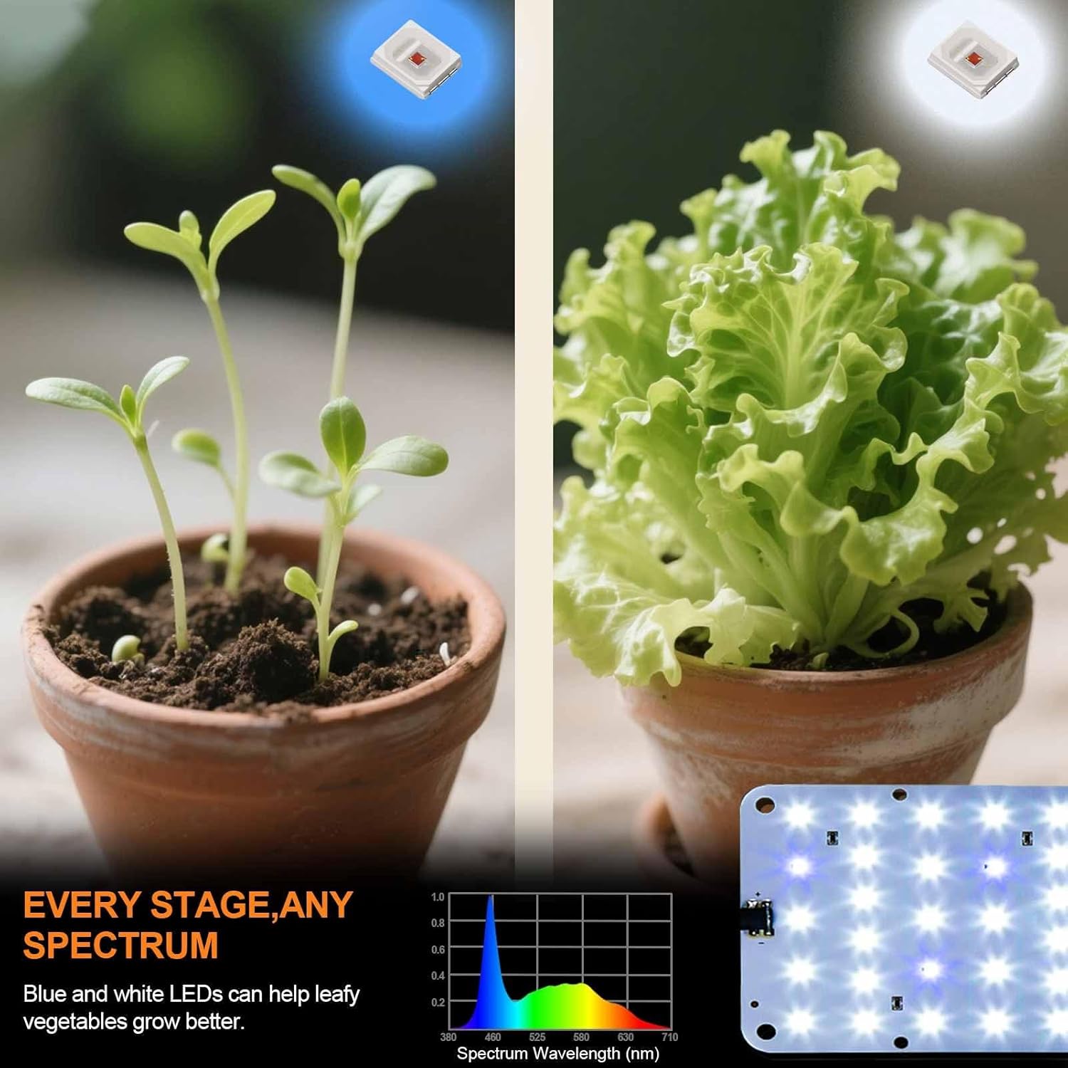 DOMMIA Grow Light, 20W Ultra-Thin Panel Grow Lights for Indoor Plants, High PPFD Full Spectrum, Dimmable, 6/12/16H Timer Auto on/Off, Suitable for Indoor Growing, Warm White 2-Pack