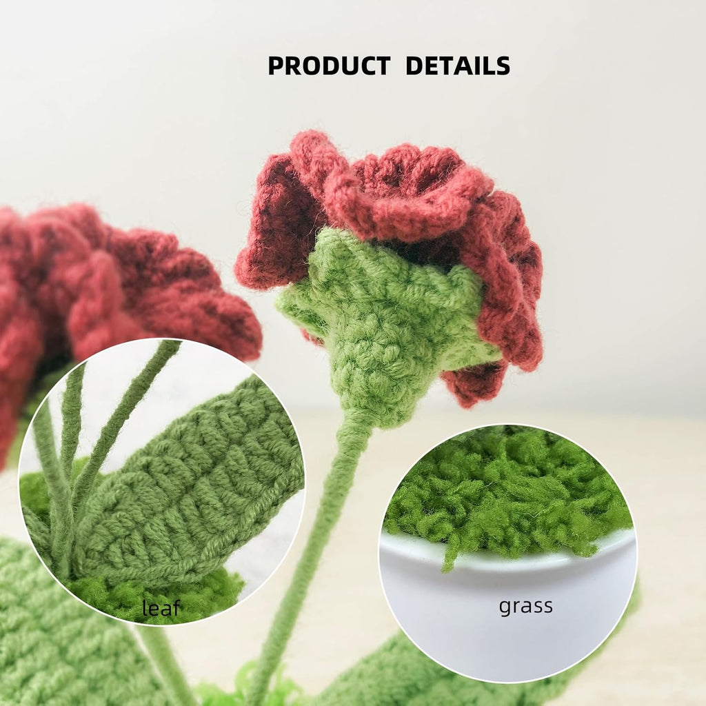 Crochet Flowers Cute Little Potted Flower, Birthday Gifts for Women, Mother's Day, Teacher’s Day, Graduation, Anniversary, Desk Decor, Home Office Decoration (Burgundy Carnation)