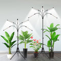 Garpsen Grow Lights for Indoor Plants, [2Pack] 100 LEDs Full Spectrum Plant Light with Timer 6/12/16H, 6000K Grow Lamp with 15~63''Adjustable Stand & Gooseneck, 3 Light Modes, 5 Levels Dimmable