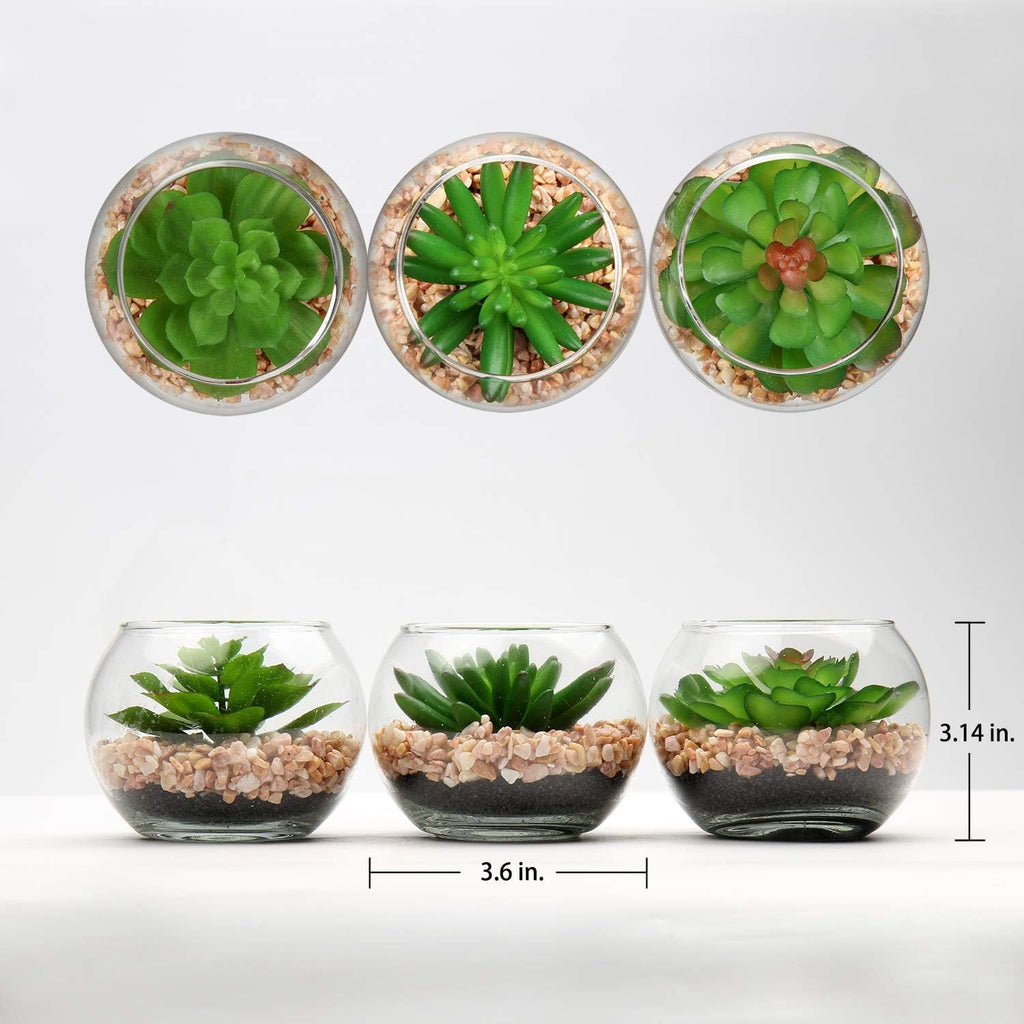 Briful Mini Fake Plants 3 Packs Artificial Succulents Plants in Round Glass Vase Cute Faux Succulents for Bathroom Kitchens Shelf Table Decor