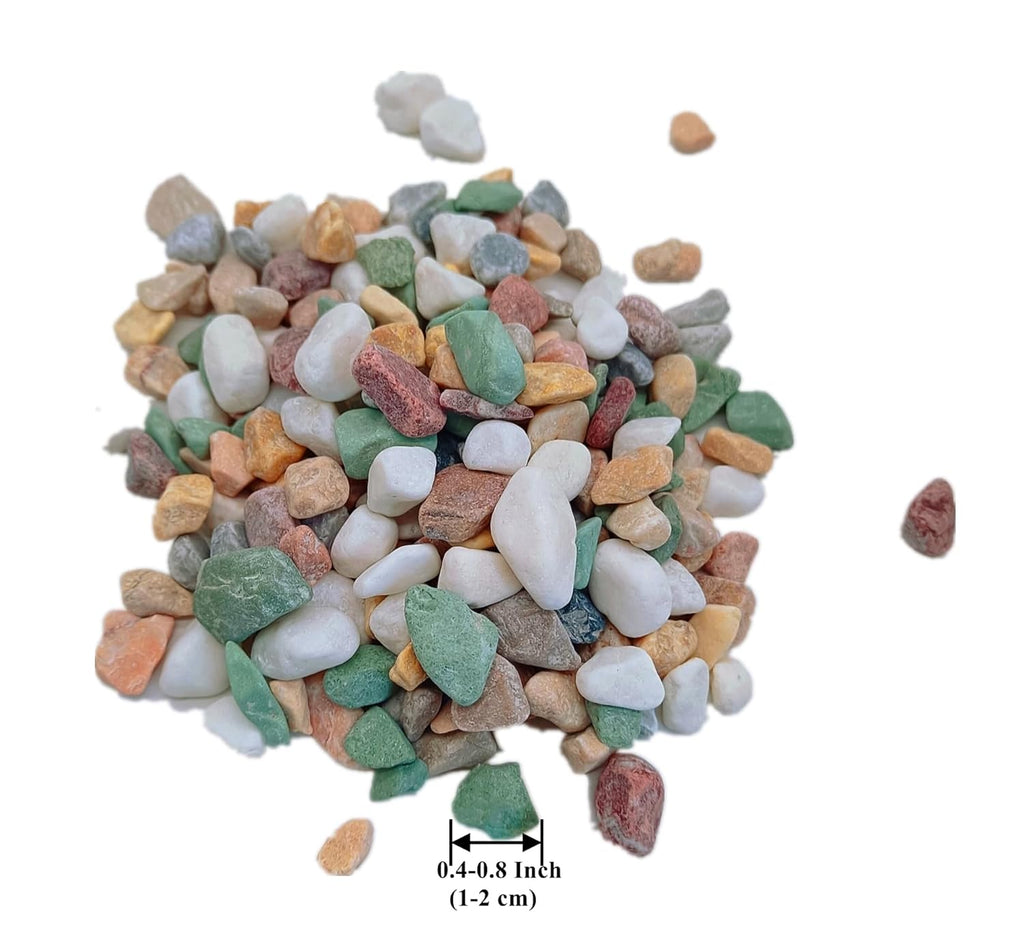 Small Aquarium Substrate, River Rock for Plants Indoor, Pea Gravel for Landscaping, Pebbles for Plants, Aquarium Rocks for Fish Tank (1Lb)