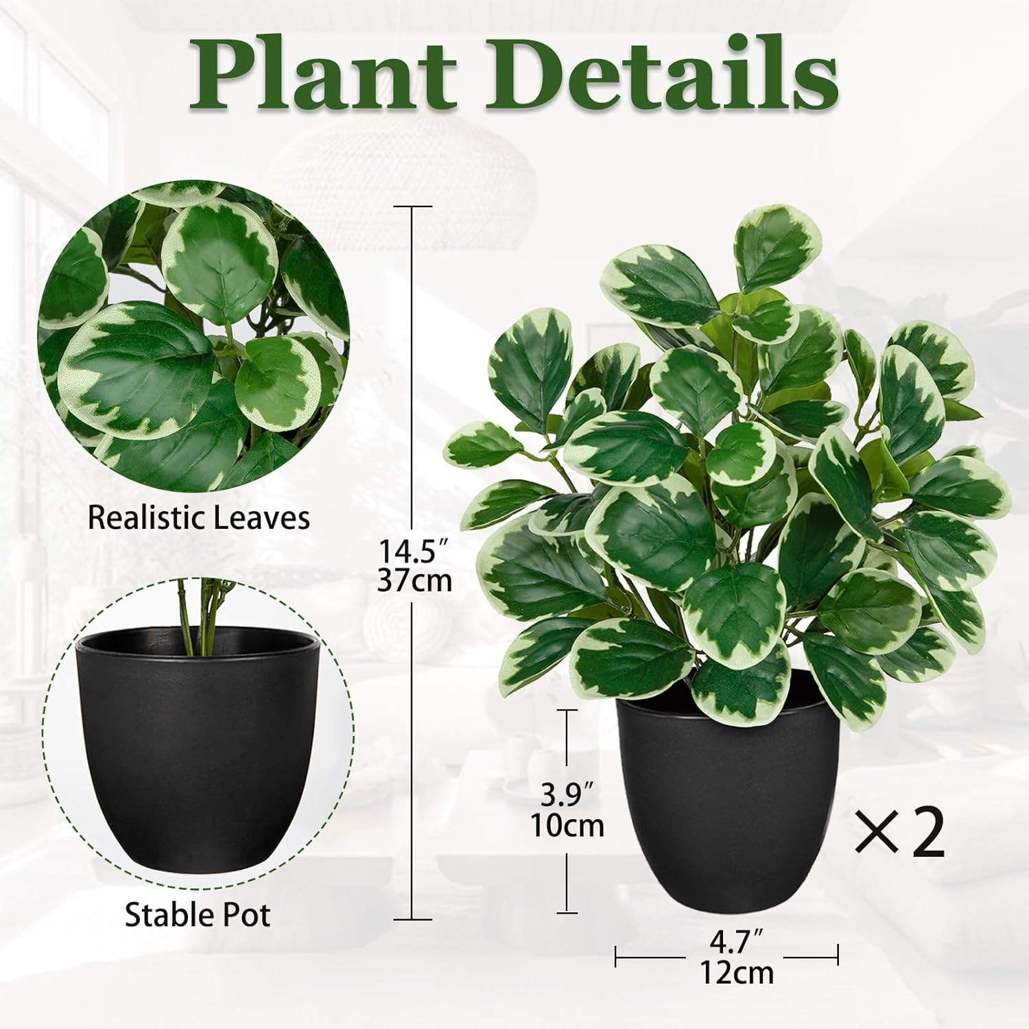Sets of 2 Artificial Plants Indoor Home Decor, 14.5" Fake Potted Silk Plants for Shelves Living Room Decor, Small Artificial Office Desk Plant in Pots, Faux Peperomia Hope Tropical House Plant
